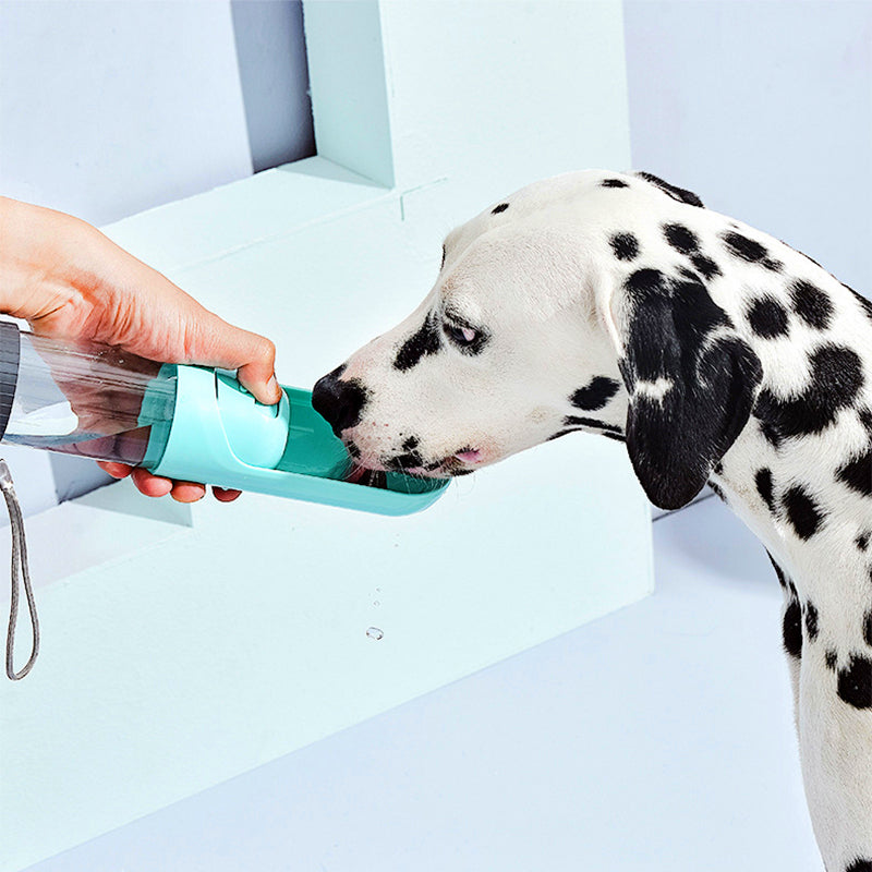 Dog water bottle